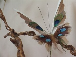 Чем можно удивить детей? На этот вопрос нашей съемочной…