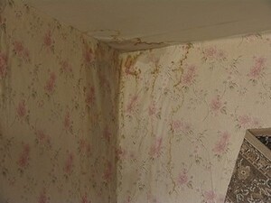 Для жителей дома № 36 по улице Чугунова осадки являются…