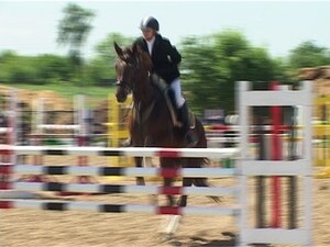 Конно-спортивный клуб «Взлет» существует в сельском…