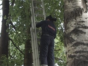 Вчера в студию Раменского телевидения целый день звонили…