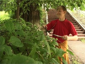 Школьники, которые летом остаются в городе, неизменно…