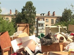 В летнее время увеличивается количество помоек. Если бы…