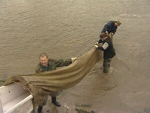 той осенью Федеральная программа решила повторить акцию…