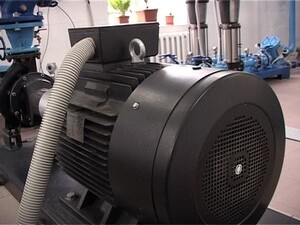 Недавно в Раменском районе стартовал традиционный…