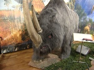 Вчера  воспитанникам Быковского детского дома…