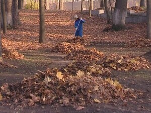 Территория Раменского городского парка занимается…