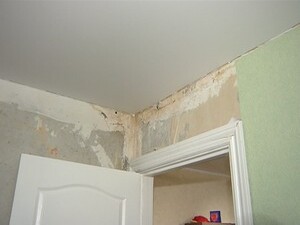 Благоустройство города и внешний вид домов радуют глаз…