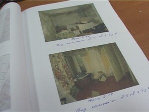 Накануне Нового года в деревне Никулино Раменского…