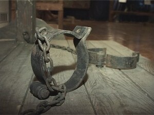 Сегодня наша съемочная группа одной из первых увидела…