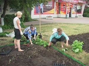 Вот уже 20 лет в Раменском работает организация под…