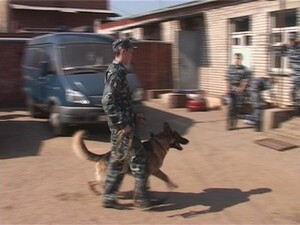 27 декабря, к сожалению, из жизни ушел Геннадий Попов…