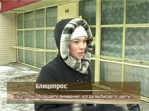 На что Вы обращаете внимание, когда выбираете цветы?