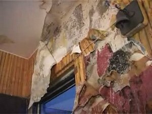 Когда к Тамаре Ивановне приходят гости, в дверь они…