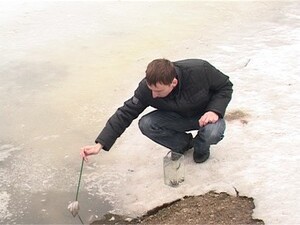 Целебные свойства пиявки известны уже много веков…