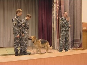 Овчарка Рада — ветеран кинологической службы, на её…