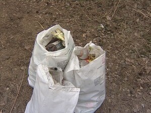 Так называемый «булонский лес» — одно из излюбленных…