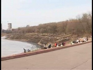 Традиционно раменская молодежь принимает активное…