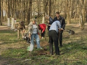 Настала весна, прошли субботники и город наш…