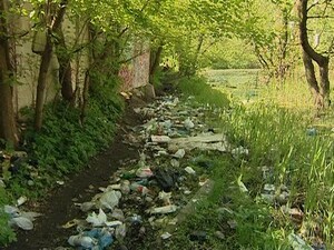 К сожалению, проблема несанкционированных свалок до сих…