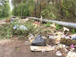 Поселок Ильинский — один из самых зеленых уголков…