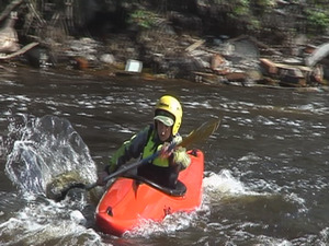 Весна-лето традиционное раздолье для любителей…