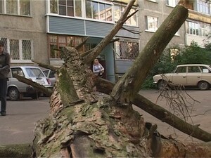 Два дня назад возле дома №32 на улице Коммунистическая…