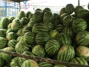 С приходом августа начался долгожданный сезон арбузов…