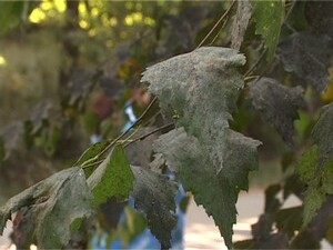 К нам в студию обратились жители ул. Нефтегазосъемка. На…