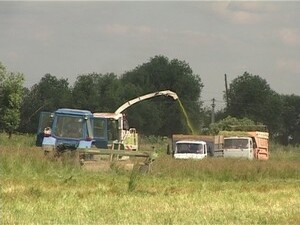 В жизнедеятельности и экономике Раменского района…