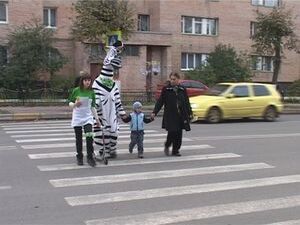 Безопасность на дорогах остается одним из самых острых…