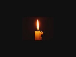 15 ноября объявлен Всемирным днем памяти жертв дорожных…