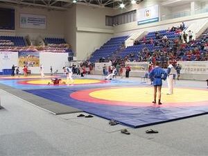 История самбо в России длится уже более 70-ти лет. В…