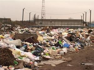 Спортивная площадка в нескольких метрах от огромной…