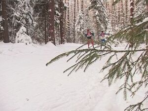 В этом году лыжная гонка сельского поселения…
