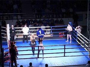 В минувшую субботу во Дворце спорта Борисоглебский…