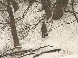 Сегодня можно подвести итоги длительной санитарной…