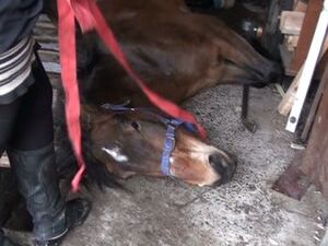 Сегодня наша съемочная группа общалась с сотрудниками…