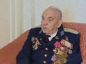 В ходе Великой Отечественной войны многие солдаты…