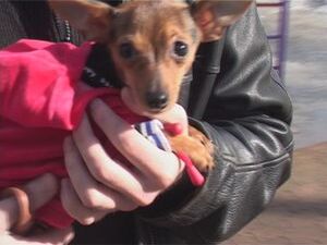 Сегодня мы побывали в гостях у одного интересного…