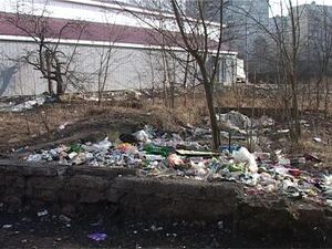 С приходом весны весь мусор, который находился зимой под…