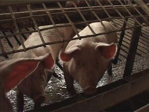 Третий год подряд Раменские экологи приезжают на…