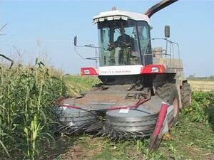 Правительство Российской федерации и Московской облатси…