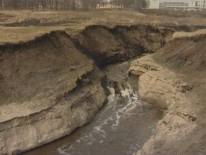 В 1993-ем году появилась и воплотилась в жизнь идея…