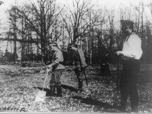 30 апреля отмечается День древонасаждения.