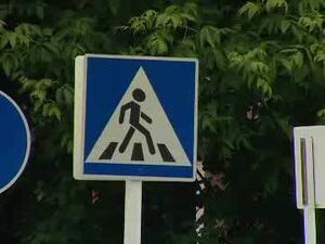 В период школьных каникул ребята всё больше времени…