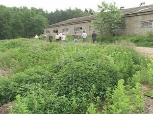 Районных депутатов всегда серьёзно интересовала…