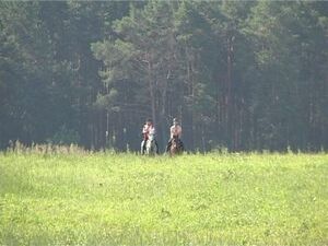 18-19  июня на базе конноспортивного комплекса Загорново…