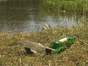 Ежегодно летом берега водоемов становятся эпицентром…