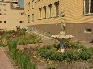 Как сделать свой двор и подъезд образцово-показательными…