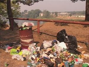 Одно из самых популярных у раменчан мест провендения…